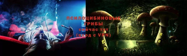 гашик Алексин