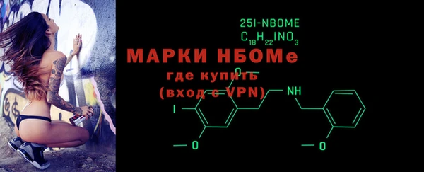 гашик Алексин