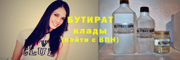 гашик Алексин