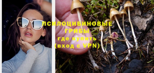 дживик Алзамай