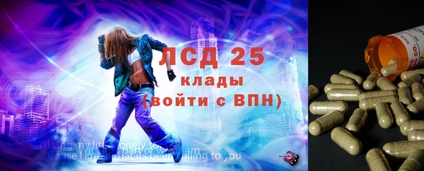 гашик Алексин