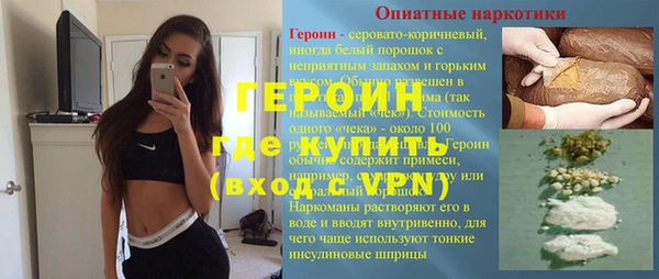 гашик Алексин